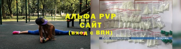 a pvp Магас