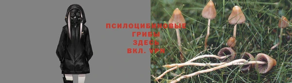 a pvp Магас