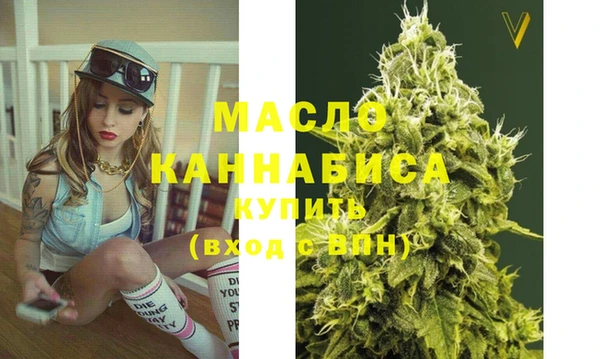 гашик Ветлуга