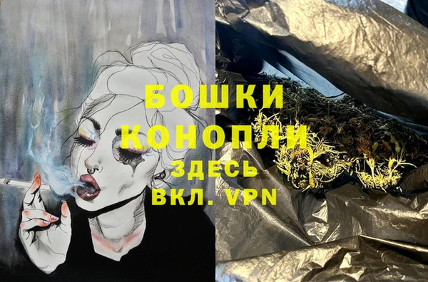 гашик Ветлуга