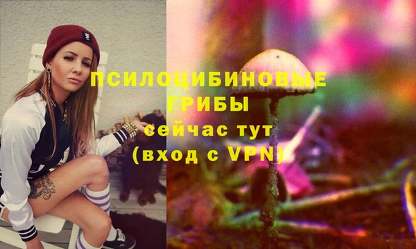прущие грибы Лихославль